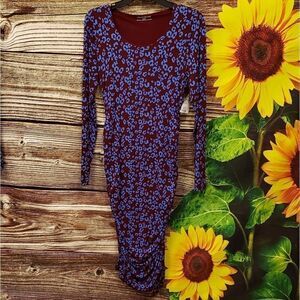 A Pea In The Pod Maternity Long Sleeve Dress NWT